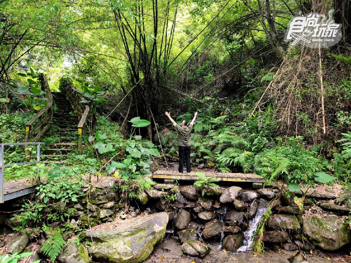 台東好玩不只熱氣球！順遊鹿野５私房景點：巨無霸大骨麵、神奇沾水籤詩