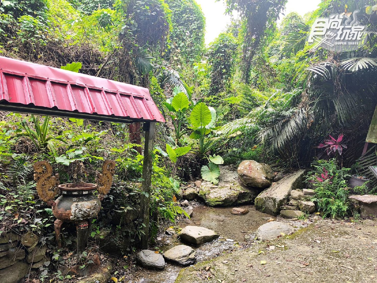 台東好玩不只熱氣球！順遊鹿野５私房景點：巨無霸大骨麵、神奇沾水籤詩