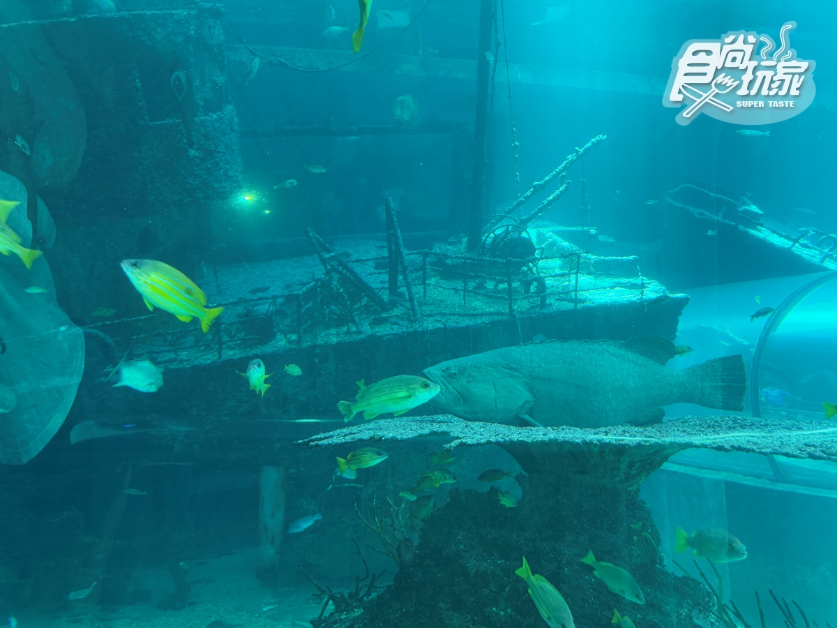 2025「屏東海生館」玩法攻略!地圖/餐廳/夜宿/附近美食景點 2025「屏東海生館」玩法攻略!地圖/餐廳/夜宿/附近美食景點