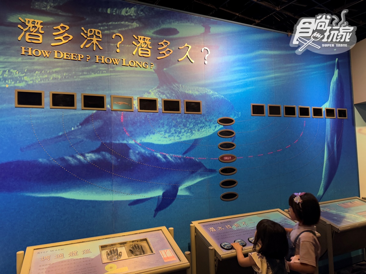 2025「屏東海生館」玩法攻略!地圖/餐廳/夜宿/附近美食景點 2025「屏東海生館」玩法攻略!地圖/餐廳/夜宿/附近美食景點