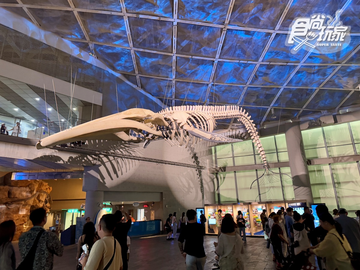 2025「屏東海生館」玩法攻略!地圖/餐廳/夜宿/附近美食景點 2025「屏東海生館」玩法攻略!地圖/餐廳/夜宿/附近美食景點