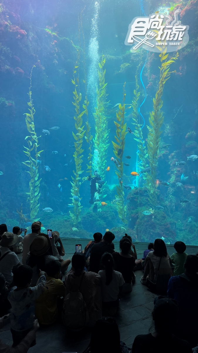 2025「屏東海生館」玩法攻略!地圖/餐廳/夜宿/附近美食景點 2025「屏東海生館」玩法攻略!地圖/餐廳/夜宿/附近美食景點