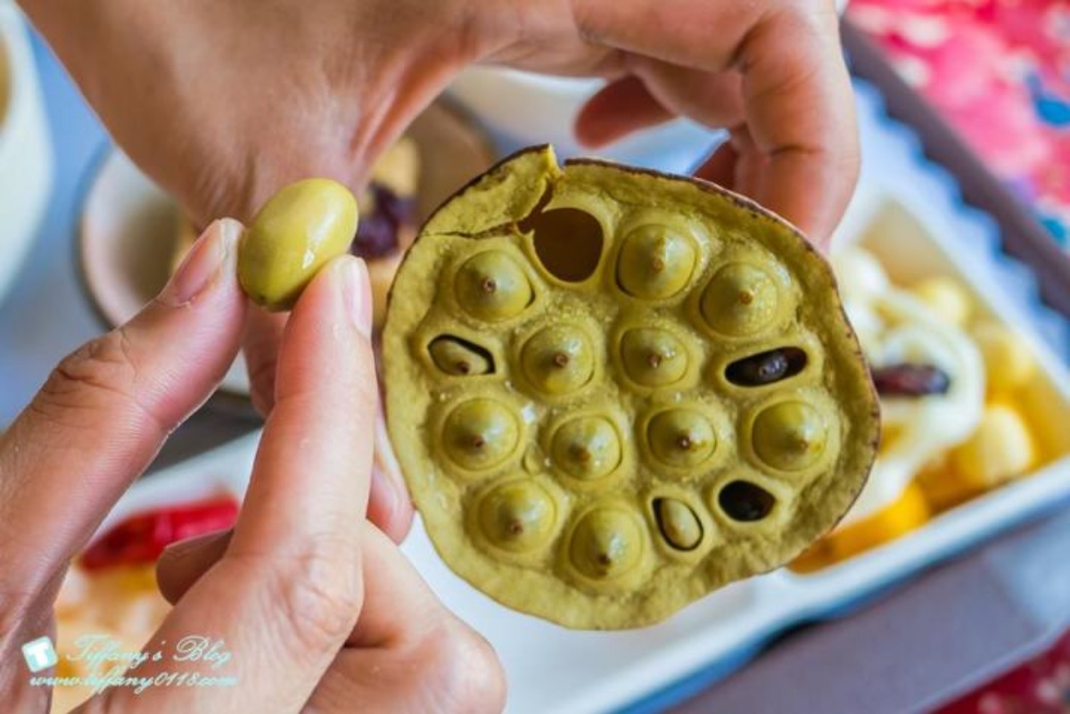 錯過等明年!桃園夏季限定「大王蓮」花季開跑,拍美照100公斤以下都能坐 錯過等明年!桃園夏季限定「大王蓮」花季開跑,拍美照100公斤以下都能坐