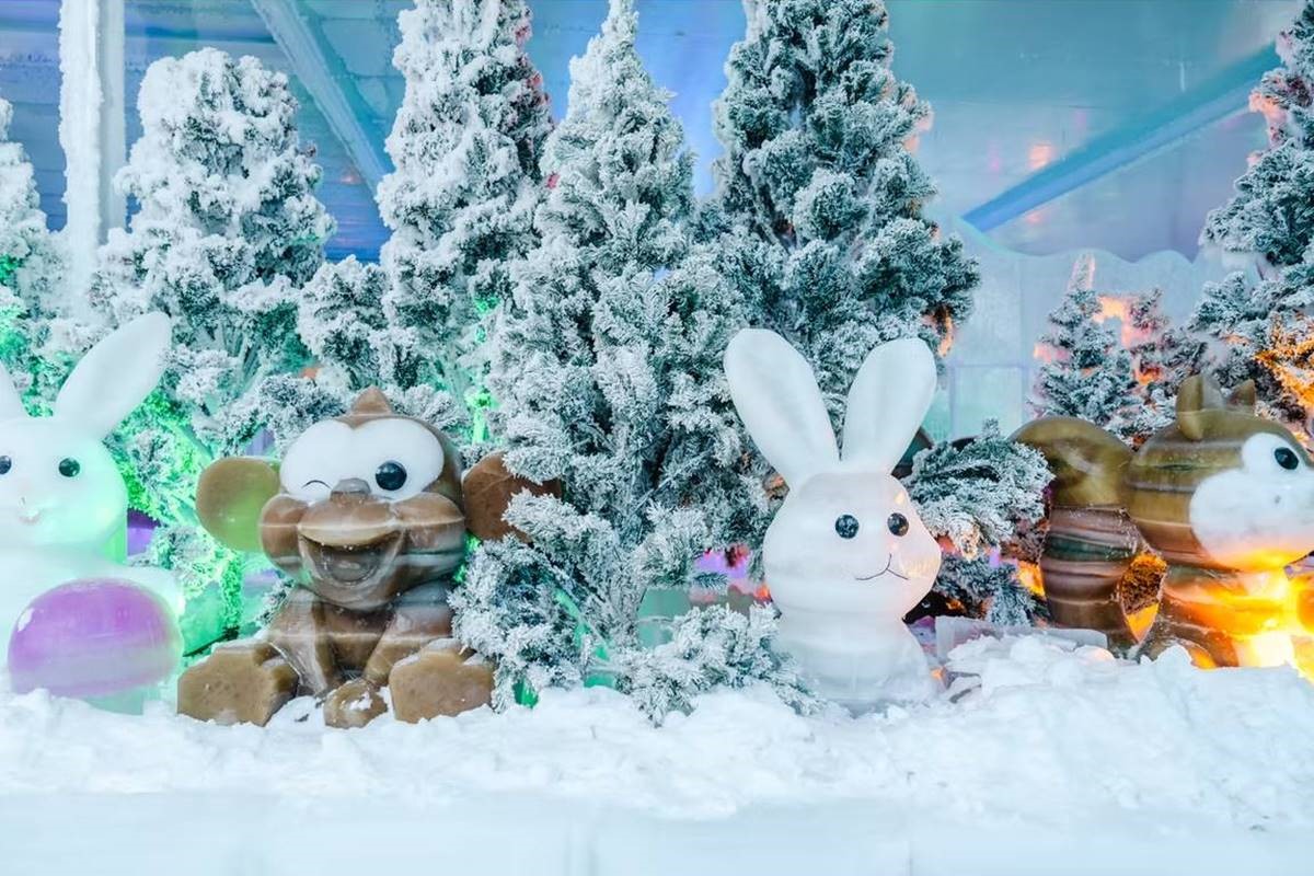 南部暑假限定「免費遊樂園」!5大主題區、好玩設施搶先看,還有冰宮可玩雪 南部暑假限定「免費遊樂園」!5大主題區、好玩設施搶先看,還有冰宮可玩雪