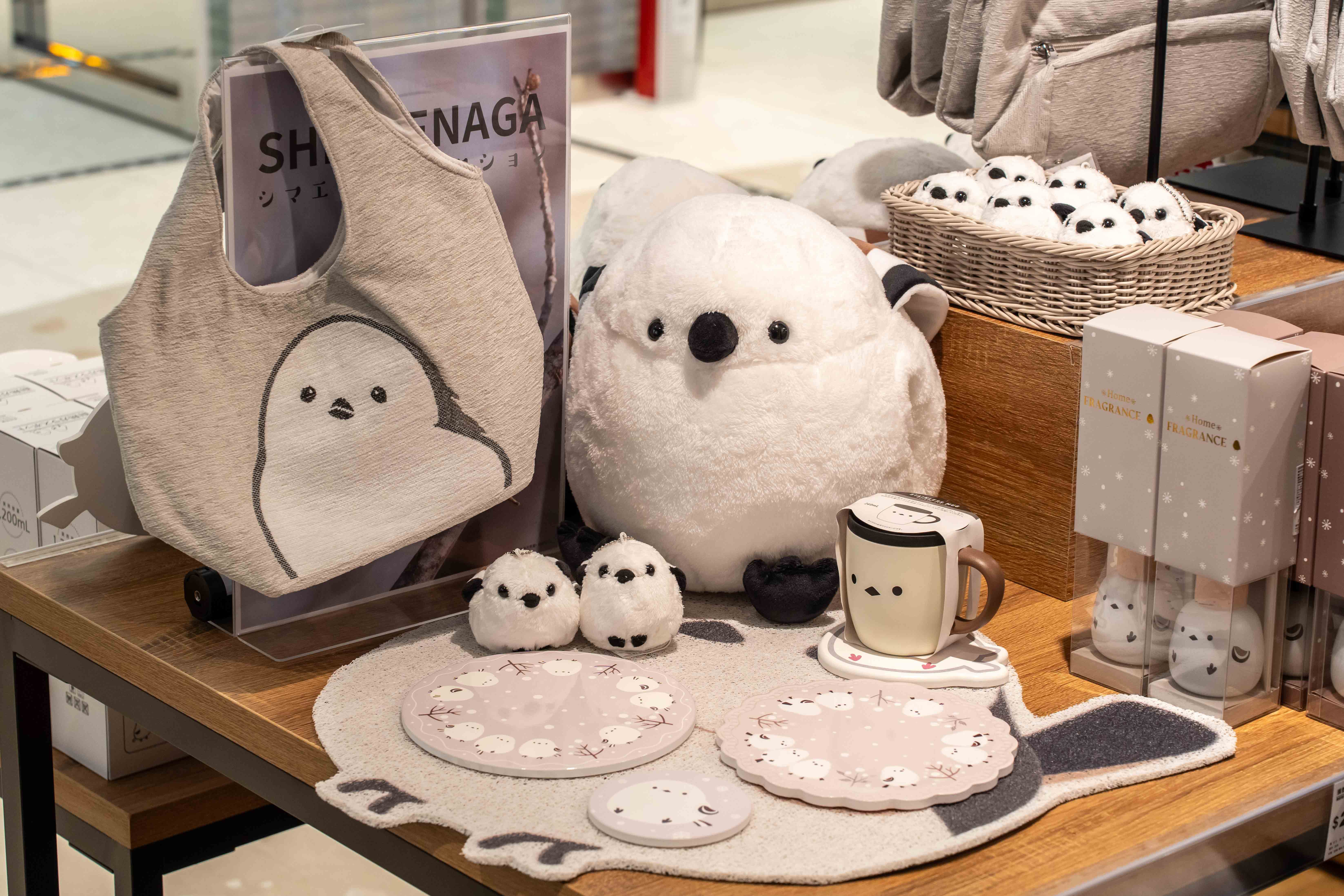 100元生乳捲開搶！DREAM PLAZA開幕優惠，全新香氛概念店、送超Q長尾山雀