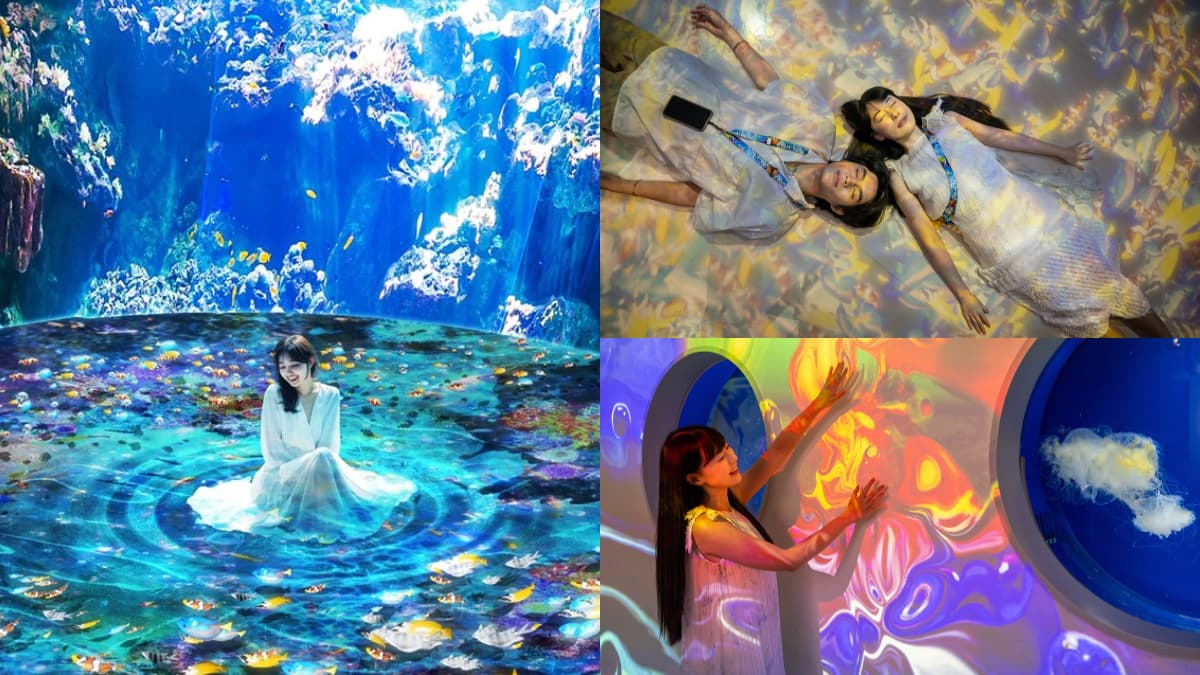 暑假星光票８折！Xpark史上最大「沉浸式體驗展」登場，絕美光影仙境超好拍