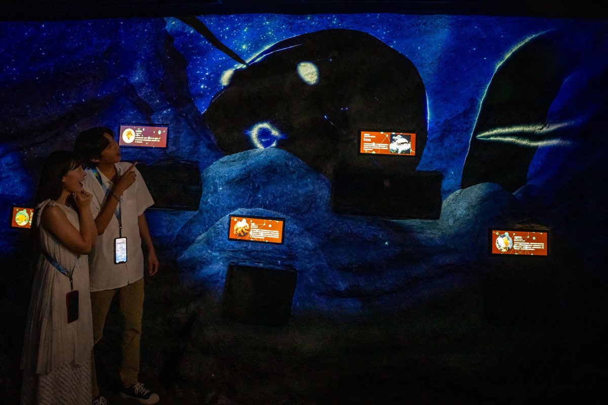 暑假星光票8折!Xpark史上最大「沉浸式體驗展」登場,絕美光影仙境超好拍 暑假星光票8折!Xpark史上最大「沉浸式體驗展」登場,絕美光影仙境超好拍