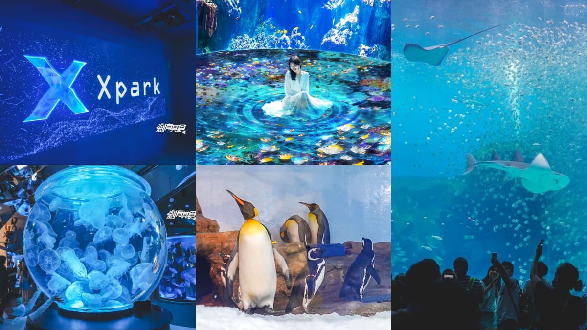 2025 Xpark 桃園水族館全攻略！最新活動、門票優惠、必看亮點、美食推薦