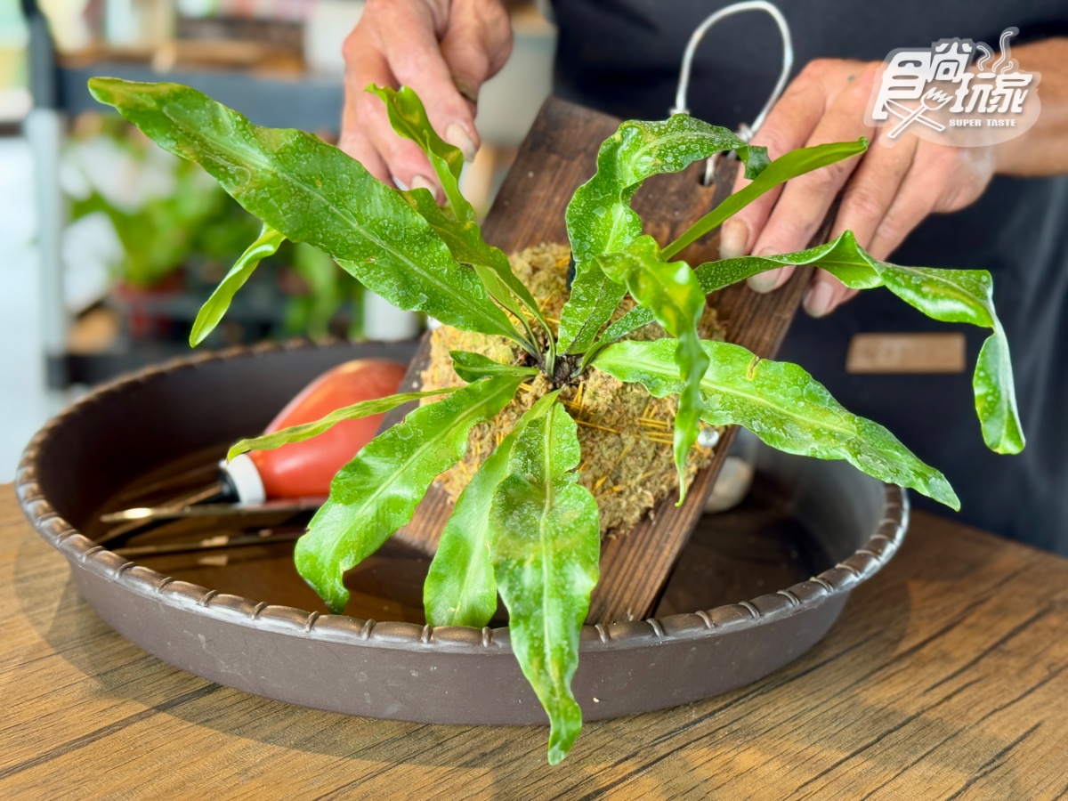 宜蘭全新「卡比巴拉」主題滑索!跨湖欣賞絕美日式庭園,餵食呆萌水豚超療癒 宜蘭全新「卡比巴拉」主題滑索!跨湖欣賞絕美日式庭園,餵食呆萌水豚超療癒