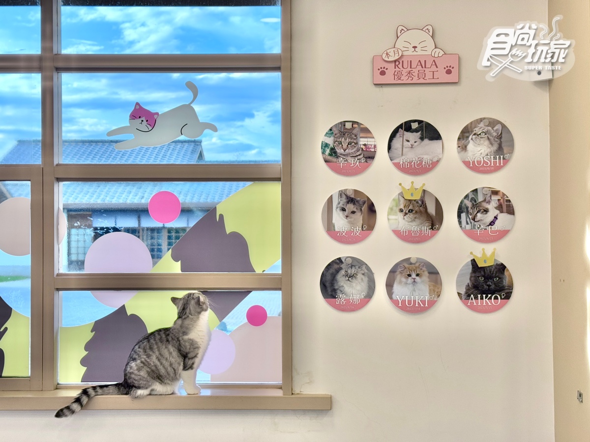 宜蘭全新「卡比巴拉」主題滑索!跨湖欣賞絕美日式庭園,餵食呆萌水豚超療癒 宜蘭全新「卡比巴拉」主題滑索!跨湖欣賞絕美日式庭園,餵食呆萌水豚超療癒