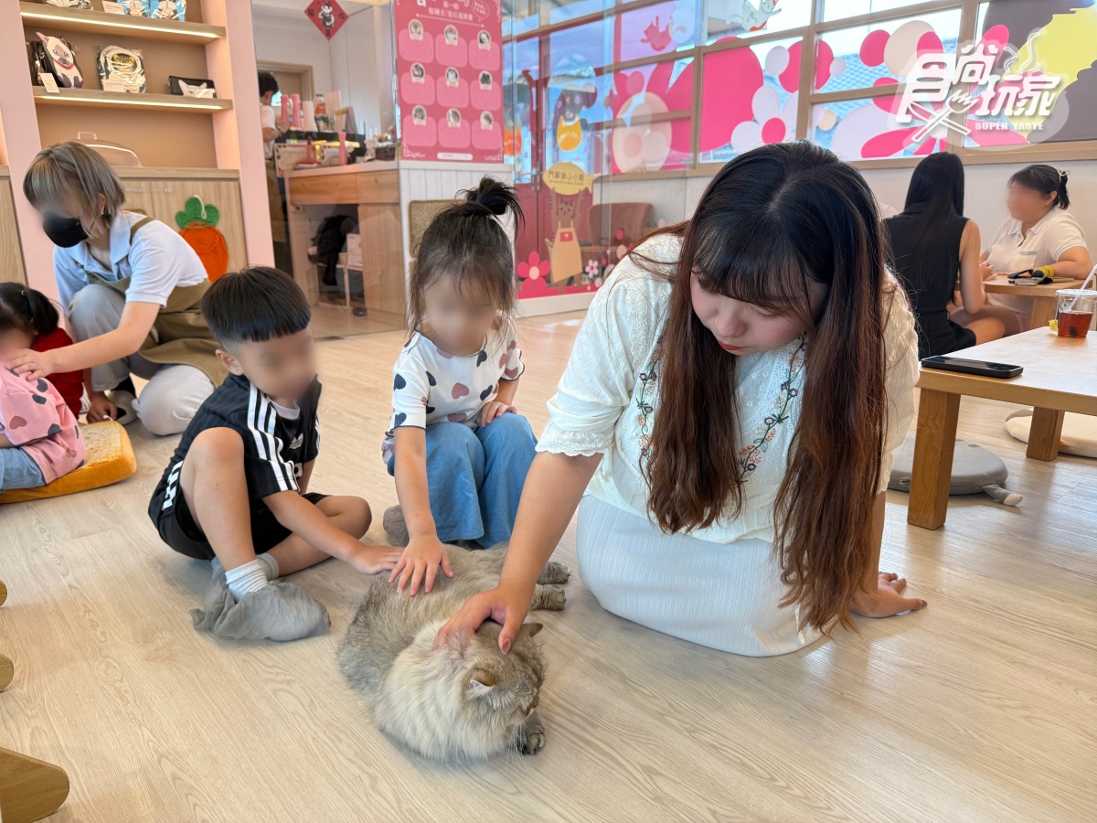 宜蘭全新「卡比巴拉」主題滑索!跨湖欣賞絕美日式庭園,餵食呆萌水豚超療癒 宜蘭全新「卡比巴拉」主題滑索!跨湖欣賞絕美日式庭園,餵食呆萌水豚超療癒