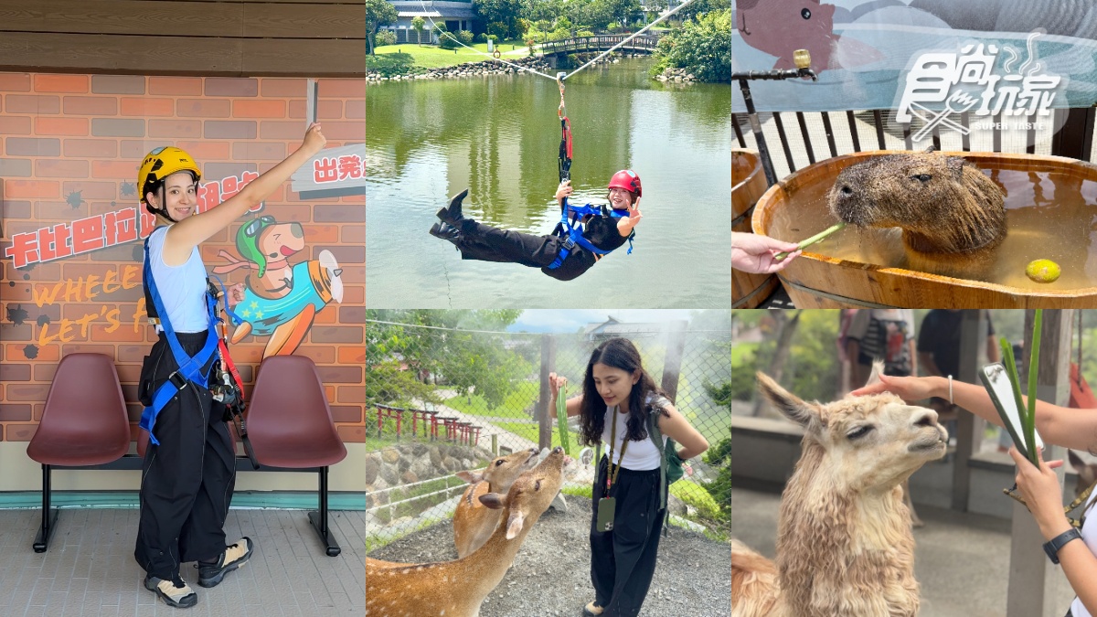宜蘭全新「卡比巴拉」主題滑索！跨湖欣賞絕美日式庭園，餵食呆萌水豚超療癒