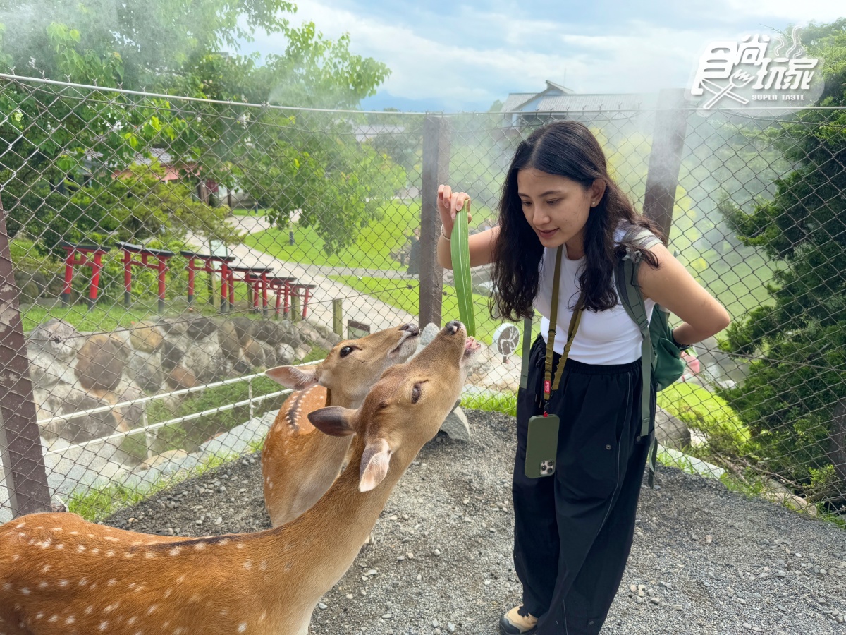 宜蘭全新「卡比巴拉」主題滑索!跨湖欣賞絕美日式庭園,餵食呆萌水豚超療癒 宜蘭全新「卡比巴拉」主題滑索!跨湖欣賞絕美日式庭園,餵食呆萌水豚超療癒