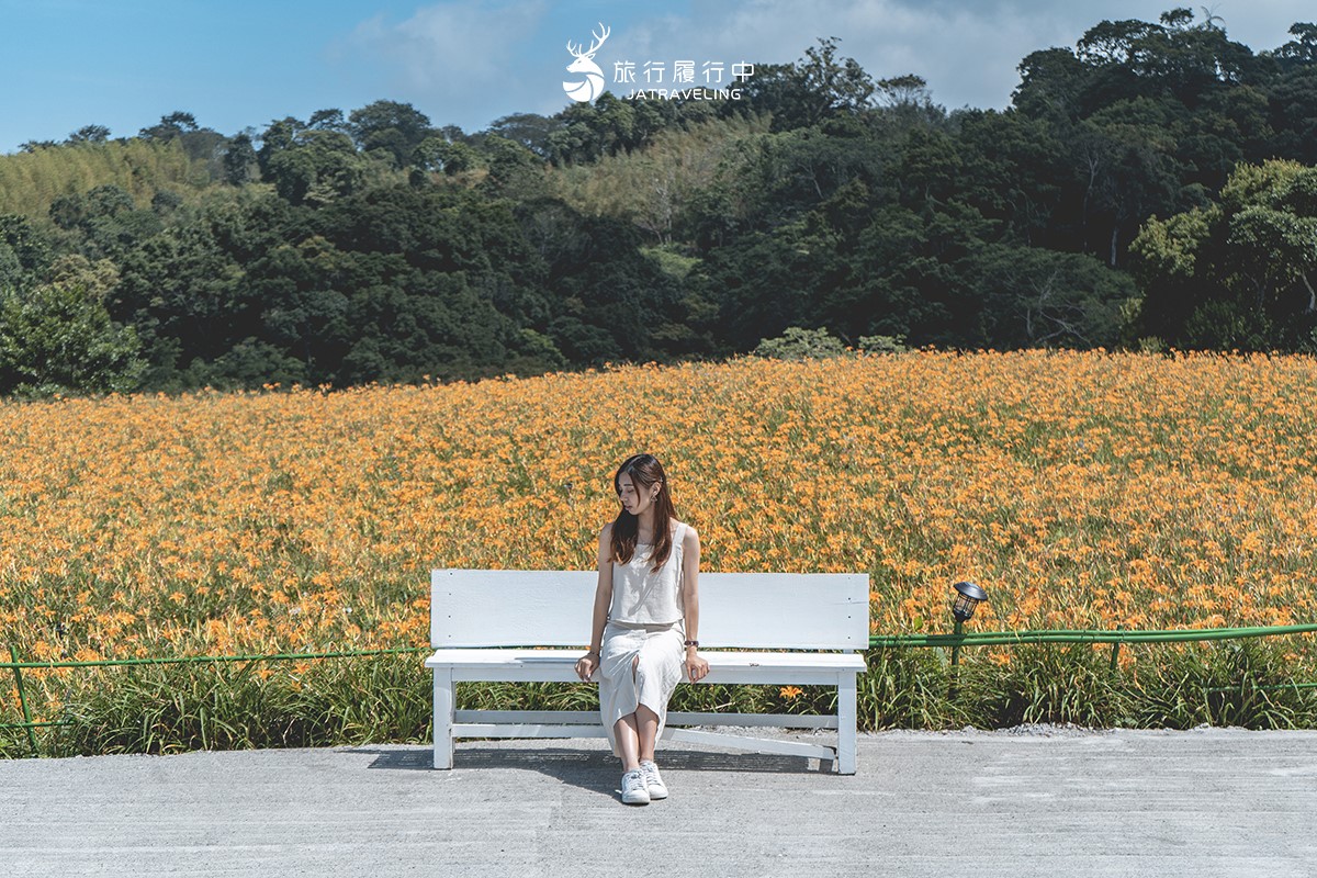 80公頃「黃金花海」免費拍!2025花蓮金針花季開跑,花況、即時影像一次看 80公頃「黃金花海」免費拍!2025花蓮金針花季開跑,花況、即時影像一次看