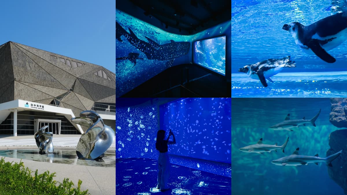全台第二大「台中海洋館」8月開幕!全館8展區開箱,票價、參觀資訊一次看