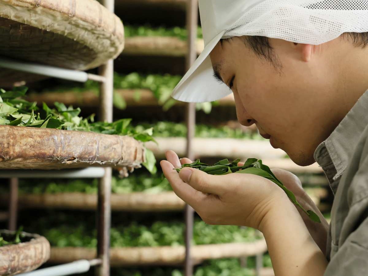 手搖第2杯半價!「咖啡師職人手搖飲」推2新品,加碼珍珠、珍芋免費加 手搖第2杯半價!「咖啡師職人手搖飲」推2新品,加碼珍珠、珍芋免費加