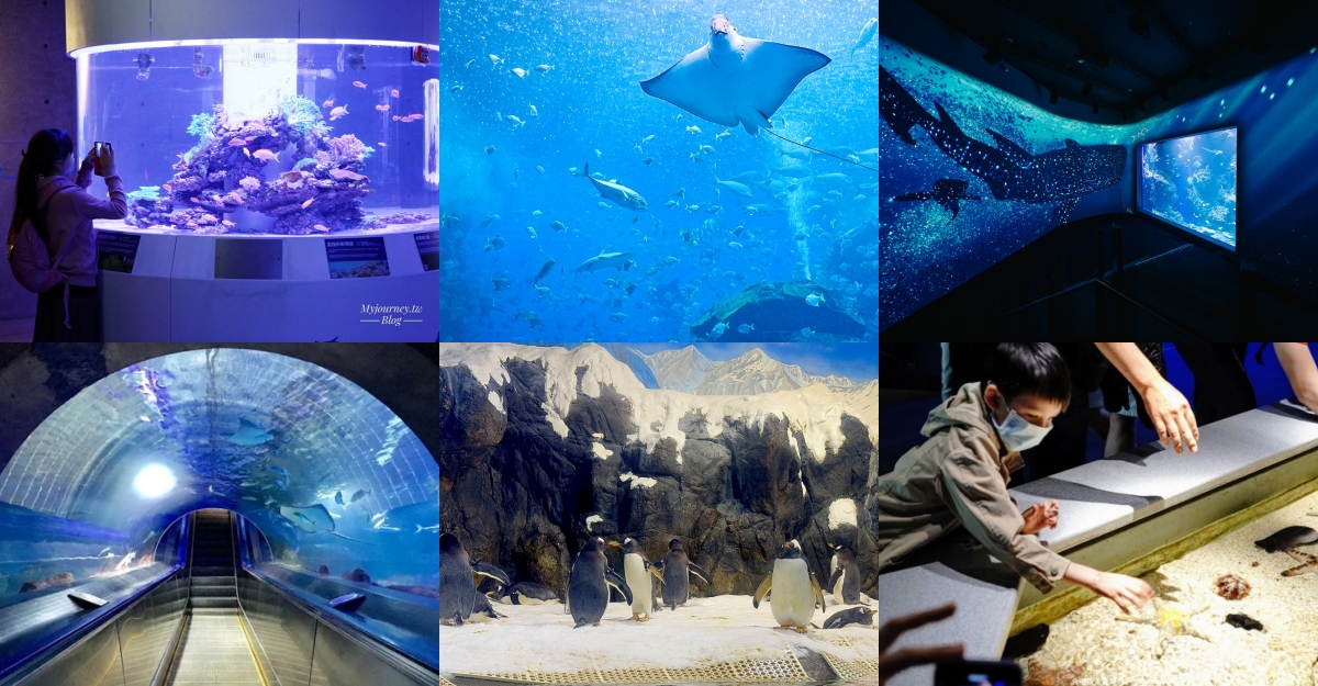 全台9座水族館攻略:解鎖Xpark、最新台中海生館、全台最大屏東海生館