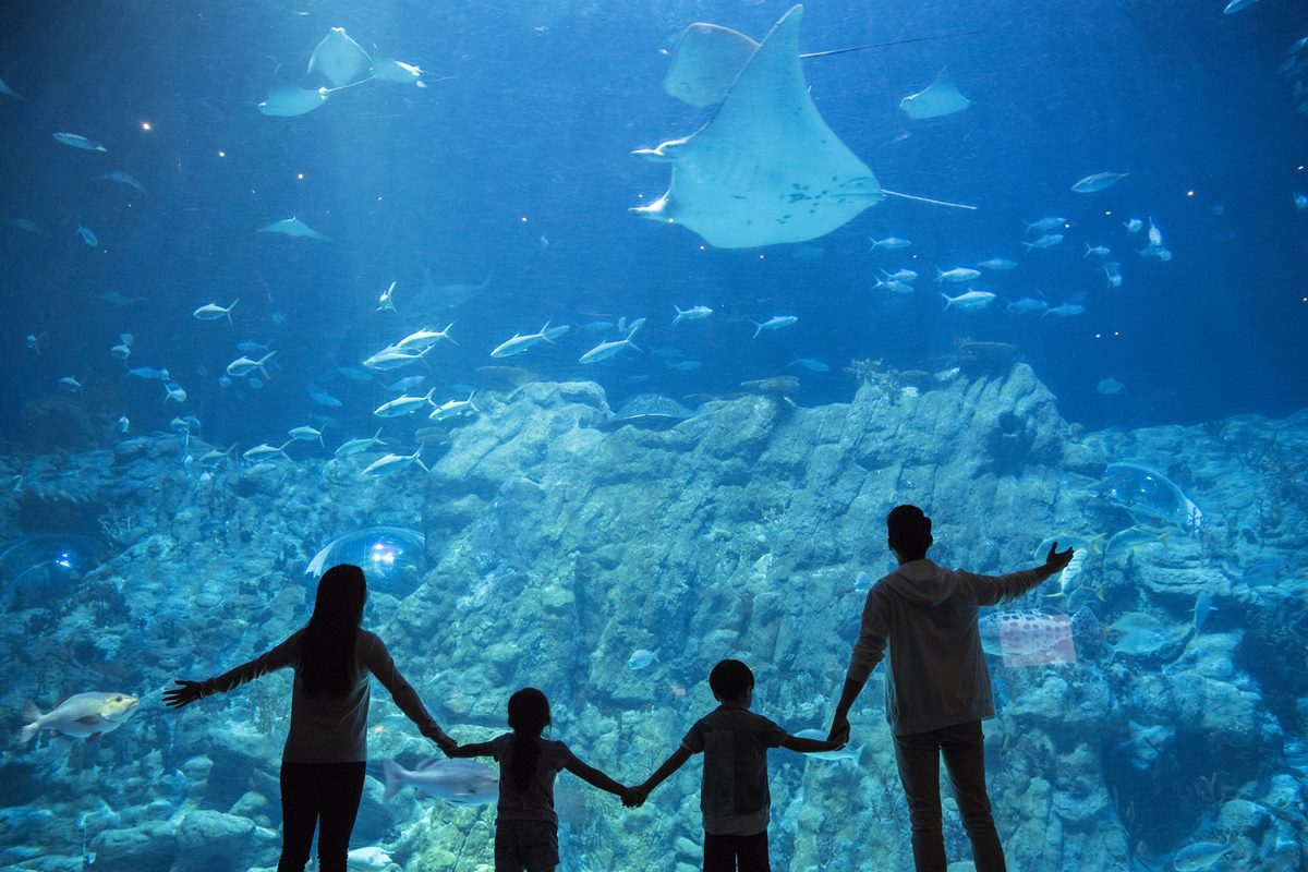 2025香港海洋公園全攻略!門票優惠、必玩設施一次收,近距離看熊貓+狐獴(中獎公布) 2025香港海洋公園全攻略!門票優惠、必玩設施一次收,近距離看熊貓+狐獴(中獎公布)