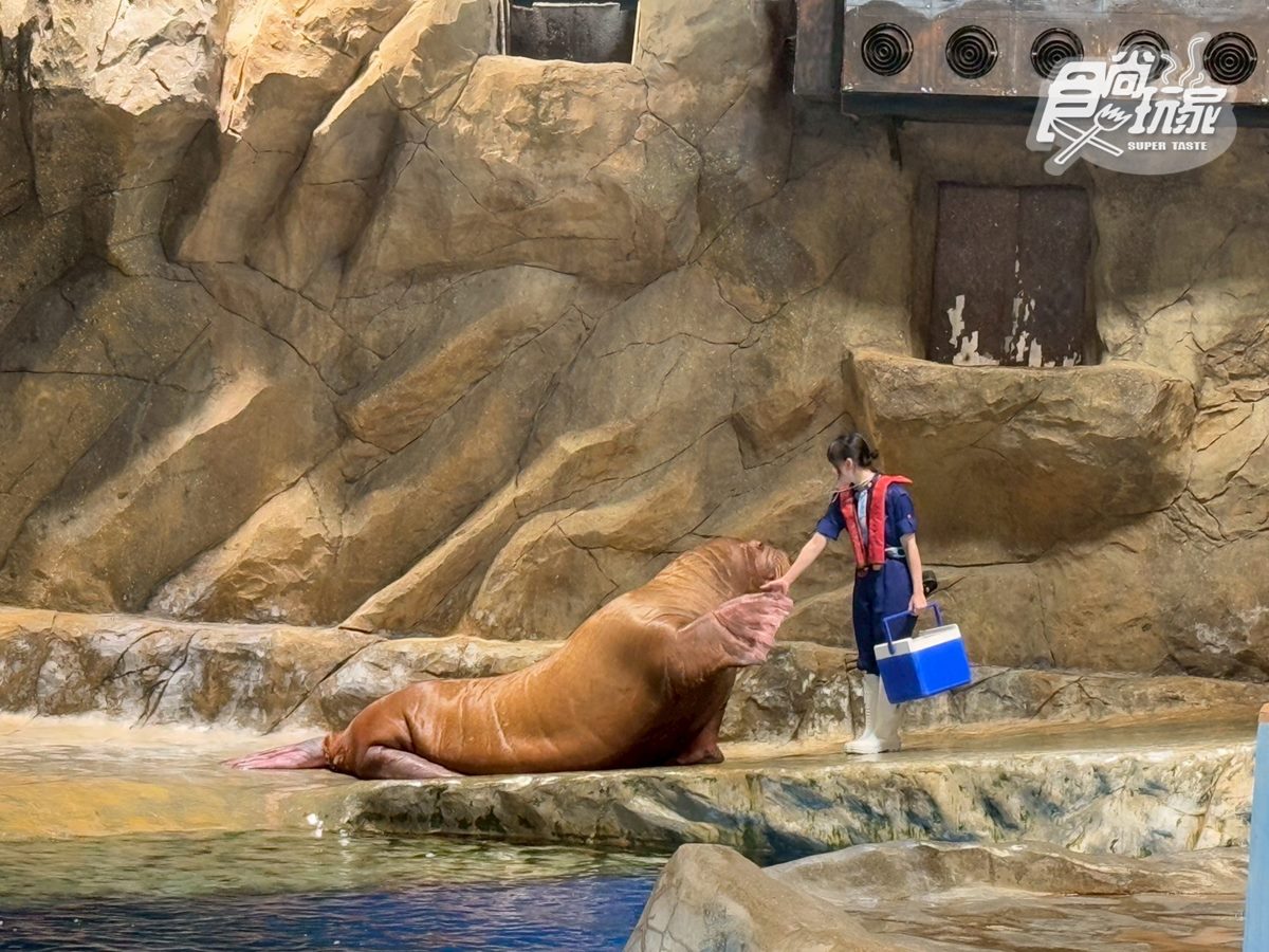 2025香港海洋公園全攻略!門票優惠、必玩設施一次收,近距離看熊貓+狐獴(中獎公布) 2025香港海洋公園全攻略!門票優惠、必玩設施一次收,近距離看熊貓+狐獴(中獎公布)