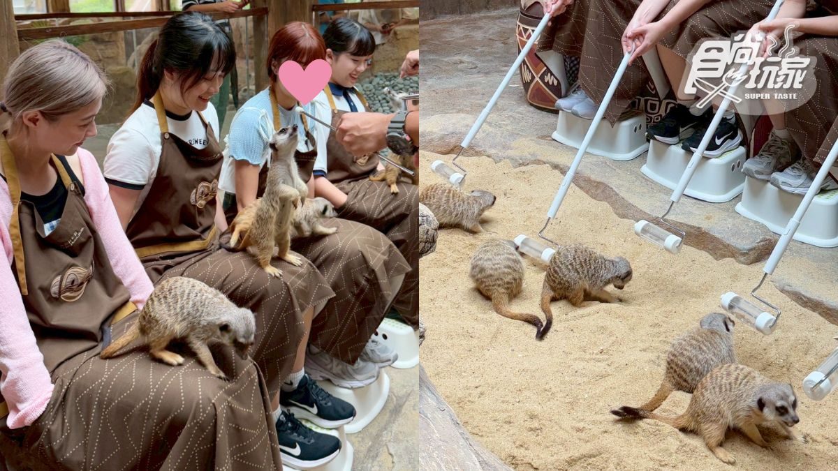 2025香港海洋公園全攻略!門票優惠、必玩設施一次收,近距離看熊貓+狐獴(中獎公布) 2025香港海洋公園全攻略!門票優惠、必玩設施一次收,近距離看熊貓+狐獴(中獎公布)