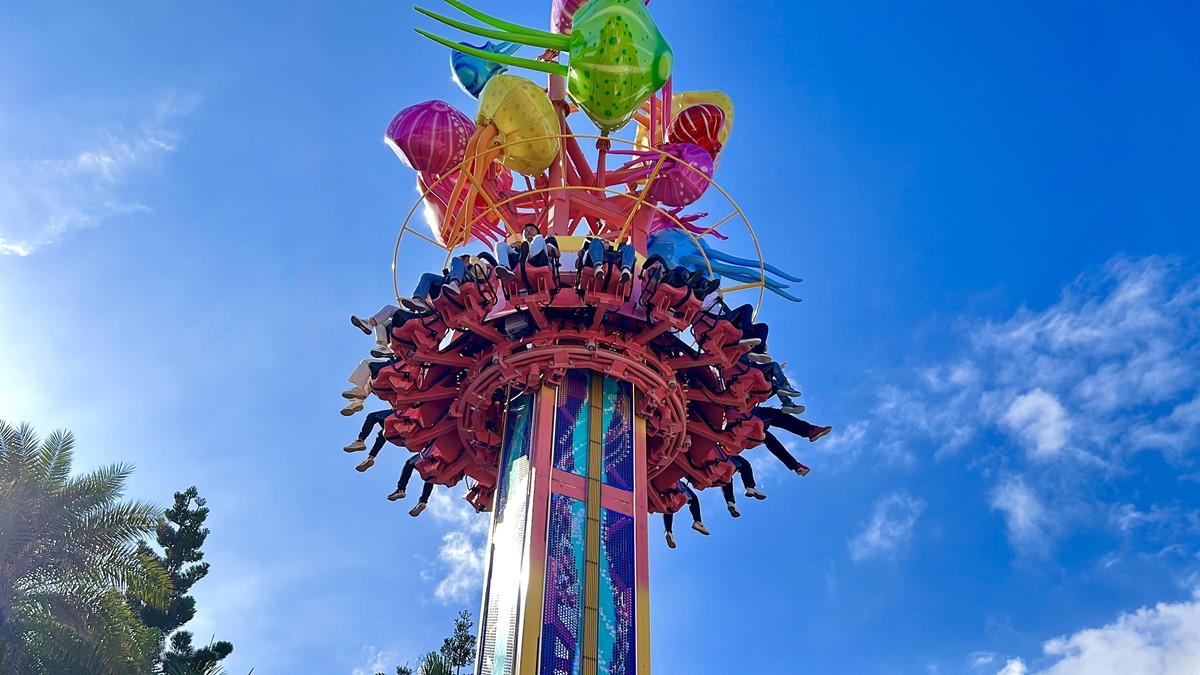 花蓮遠雄海洋公園這樣玩!遊樂設施、海豚表演、夜宿體驗,門票/住宿全攻略 花蓮遠雄海洋公園這樣玩!遊樂設施、海豚表演、夜宿體驗,門票/住宿全攻略