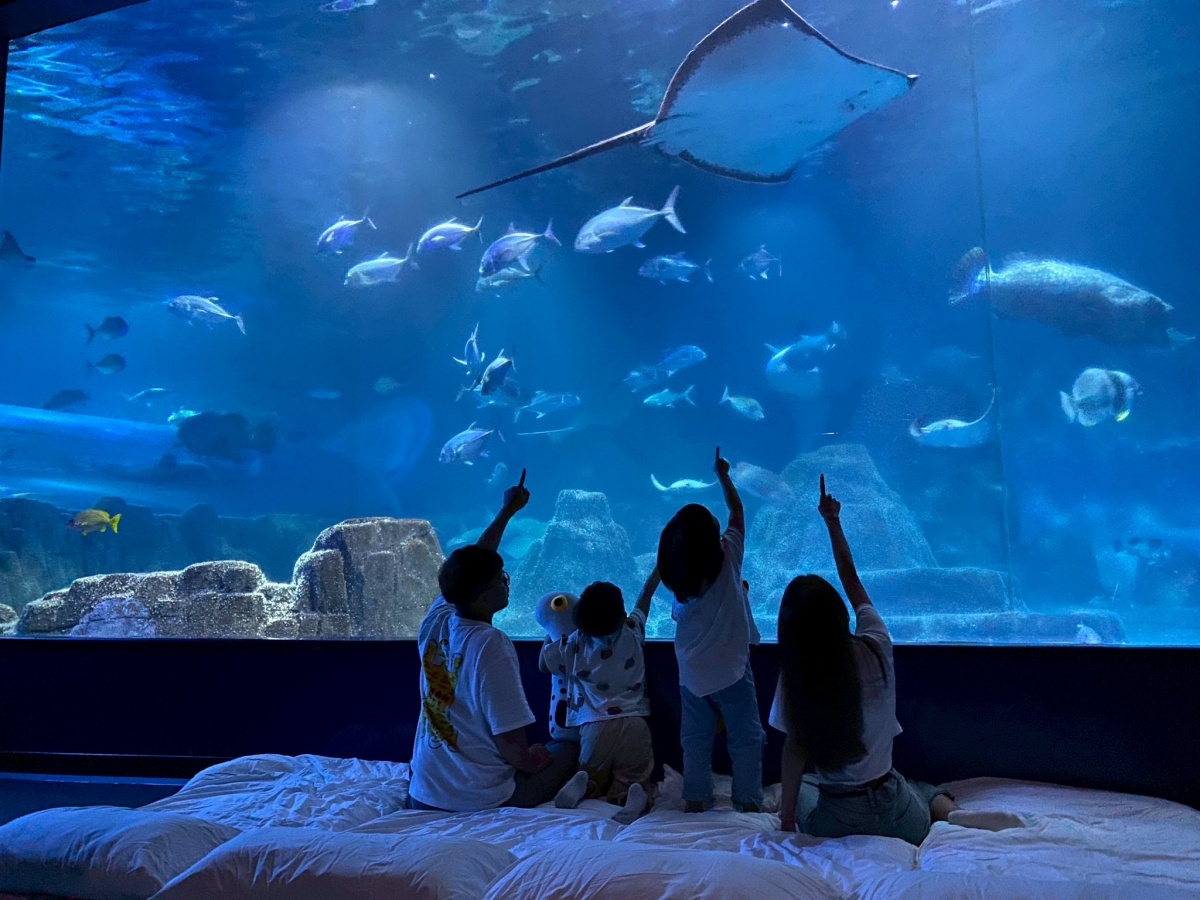 花蓮遠雄海洋公園這樣玩!遊樂設施、海豚表演、夜宿體驗,門票/住宿全攻略 花蓮遠雄海洋公園這樣玩!遊樂設施、海豚表演、夜宿體驗,門票/住宿全攻略