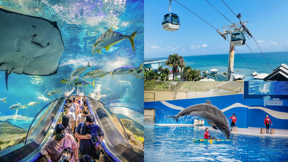 花蓮遠雄海洋公園這樣玩!遊樂設施、海豚表演、夜宿體驗,門票/住宿全攻略