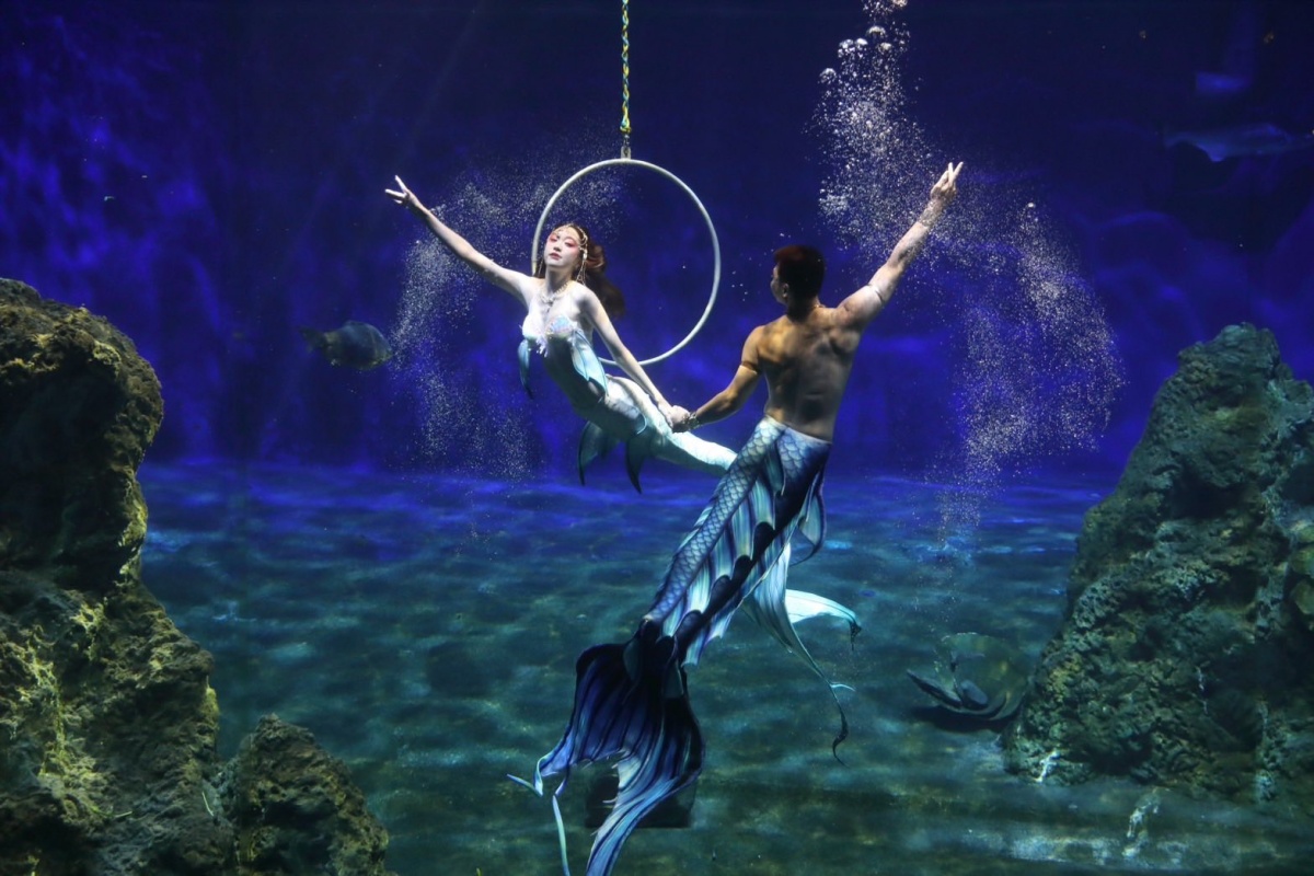 花蓮遠雄海洋公園這樣玩!遊樂設施、海豚表演、夜宿體驗,門票/住宿全攻略 花蓮遠雄海洋公園這樣玩!遊樂設施、海豚表演、夜宿體驗,門票/住宿全攻略