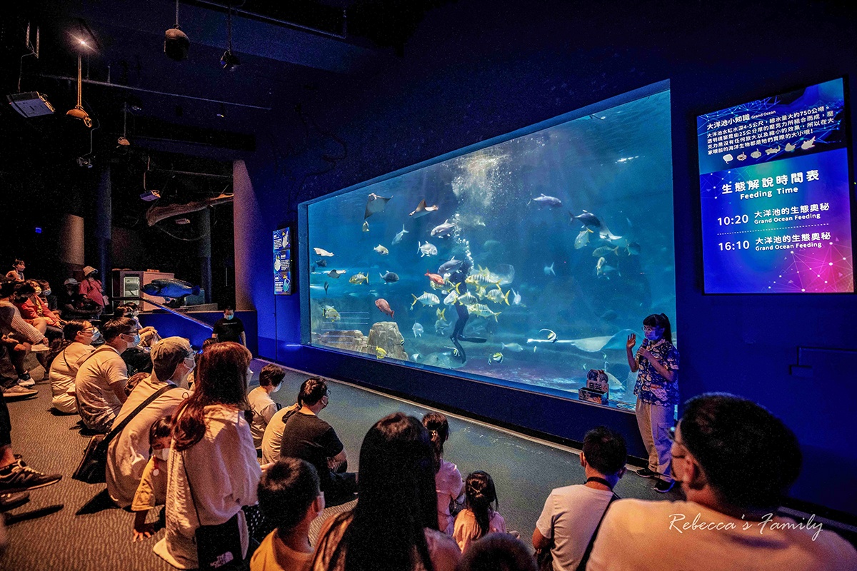 花蓮遠雄海洋公園這樣玩!遊樂設施、海豚表演、夜宿體驗,門票/住宿全攻略 花蓮遠雄海洋公園這樣玩!遊樂設施、海豚表演、夜宿體驗,門票/住宿全攻略