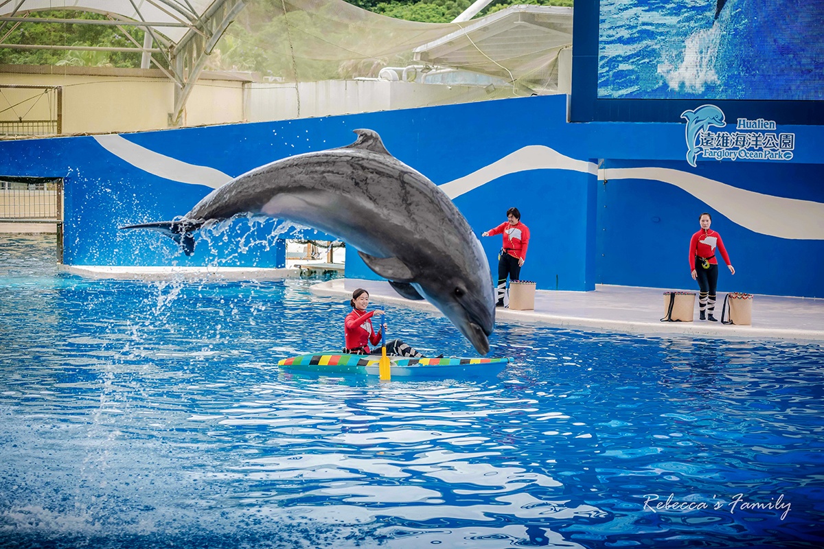 花蓮遠雄海洋公園這樣玩!遊樂設施、海豚表演、夜宿體驗,門票/住宿全攻略 花蓮遠雄海洋公園這樣玩!遊樂設施、海豚表演、夜宿體驗,門票/住宿全攻略