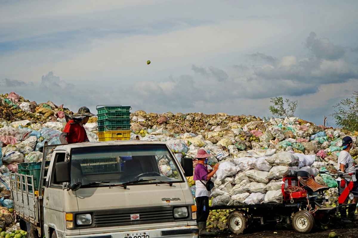 最高現省400元!台南最美老宅首推「中秋限定禮盒」,爽吃柚子巧克力、麻豆文旦 最高現省400元!台南最美老宅首推「中秋限定禮盒」,爽吃柚子巧克力、麻豆文旦