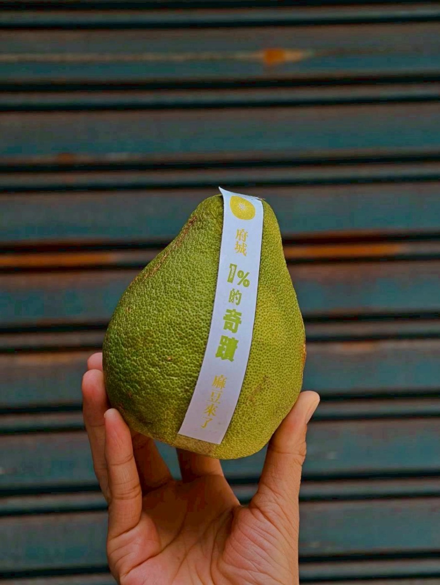 最高現省400元!台南最美老宅首推「中秋限定禮盒」,爽吃柚子巧克力、麻豆文旦 最高現省400元!台南最美老宅首推「中秋限定禮盒」,爽吃柚子巧克力、麻豆文旦