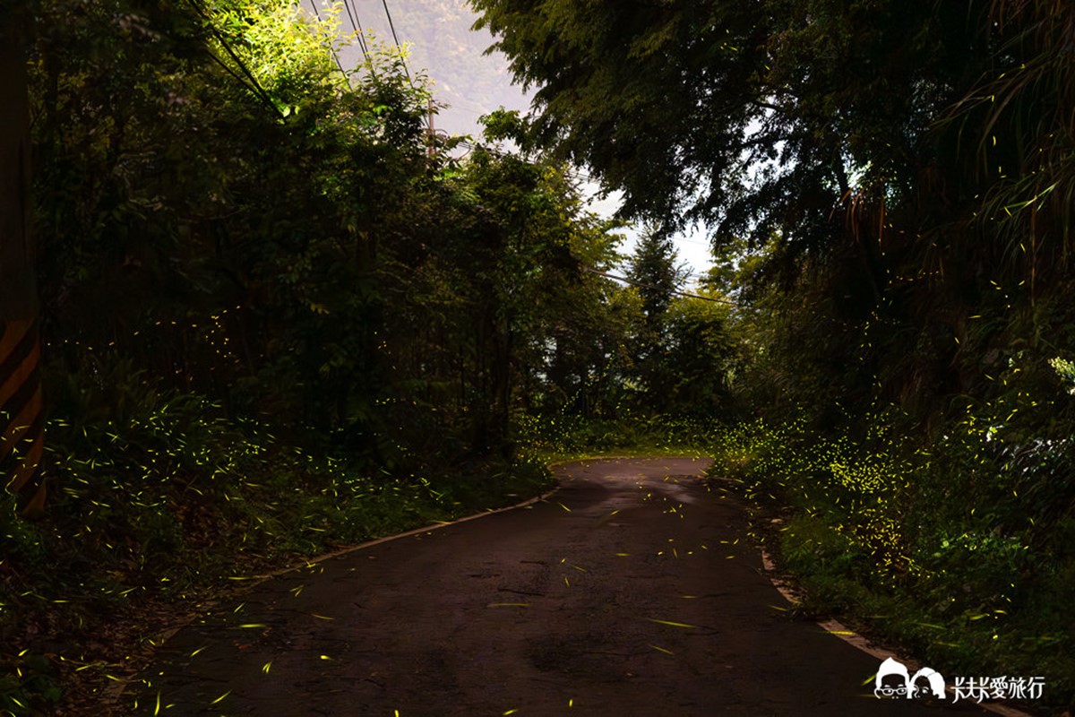 台灣「深度旅遊」住宿5選!溜滑索、餵水豚一站式玩透透,票選最愛抽住宿券 台灣「深度旅遊」住宿5選!溜滑索、餵水豚一站式玩透透,票選最愛抽住宿券