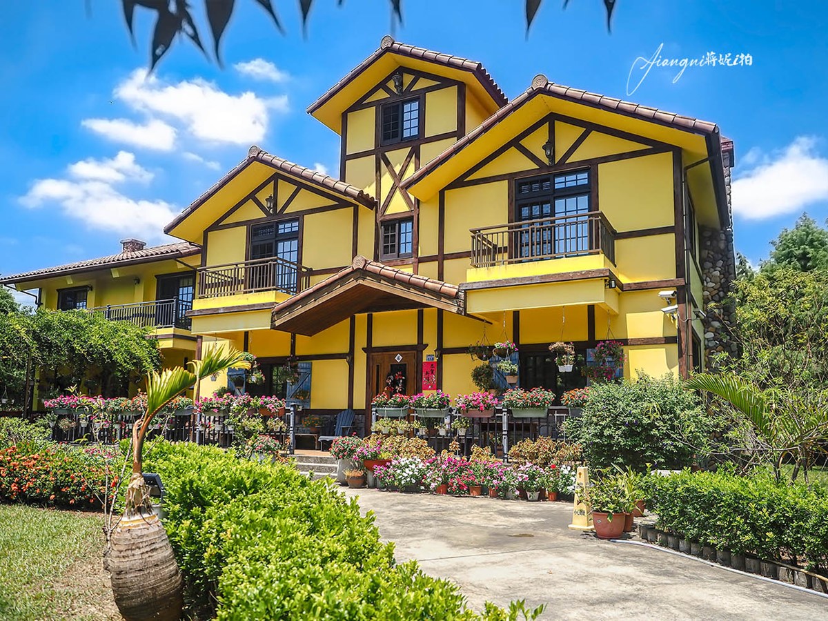 仙氣爆棚「九月雪」免費拍!2025桃園韭菜花節開跑:花況、花季資訊一次看 仙氣爆棚「九月雪」免費拍!2025桃園韭菜花節開跑:花況、花季資訊一次看