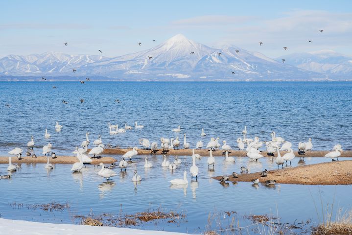 台灣虎航直飛福島秋冬這樣玩！鐵道迷搶拍只見線、泡百年古湯，鬼滅迷必訪景點