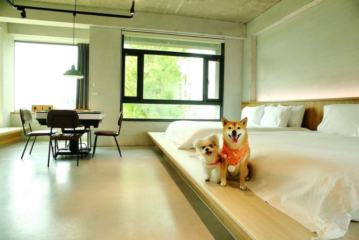 美拍400坪庭園落羽松!「享佇民宿」入圍旅宿大賞2大獎,投票抽免費住宿券 美拍400坪庭園落羽松!「享佇民宿」入圍旅宿大賞2大獎,投票抽免費住宿券