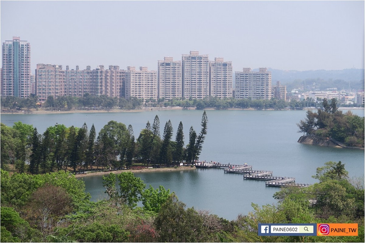 高雄30年「隱藏版水族館」將歇業!展示500種珍稀生物,把握最後機會開逛 高雄30年「隱藏版水族館」將歇業!展示500種珍稀生物,把握最後機會開逛
