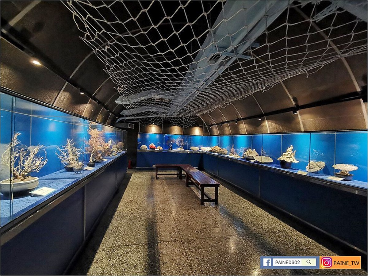 高雄30年「隱藏版水族館」將歇業!展示500種珍稀生物,把握最後機會開逛 高雄30年「隱藏版水族館」將歇業!展示500種珍稀生物,把握最後機會開逛