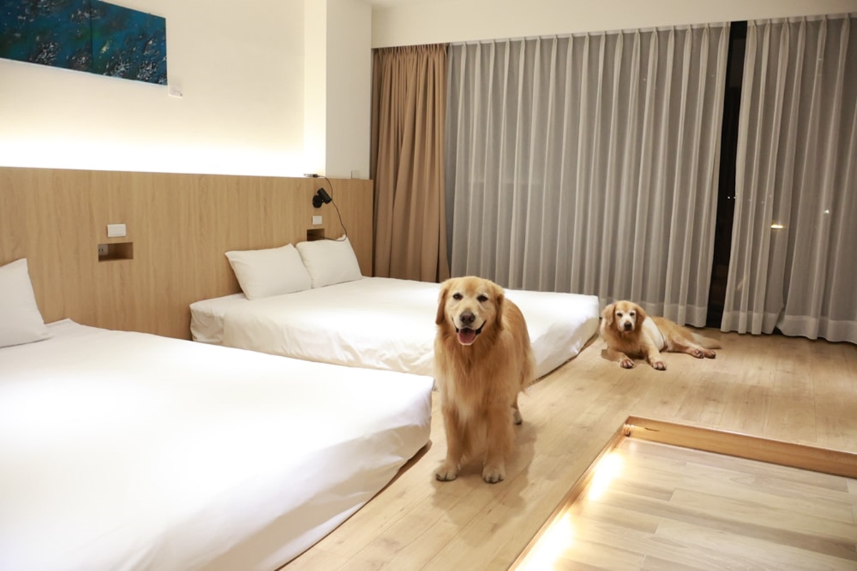 住進老宅裡旅行!台南高評價包棟民宿15選,親子寵物友善一次推薦 住進老宅裡旅行!台南高評價包棟民宿15選,親子寵物友善一次推薦