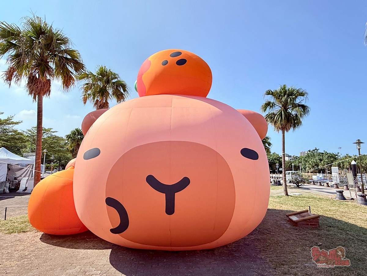 12米巨大「卡比胖拉」現身台南！50隻超萌水豚大舉登陸安平，夜晚有燈光秀