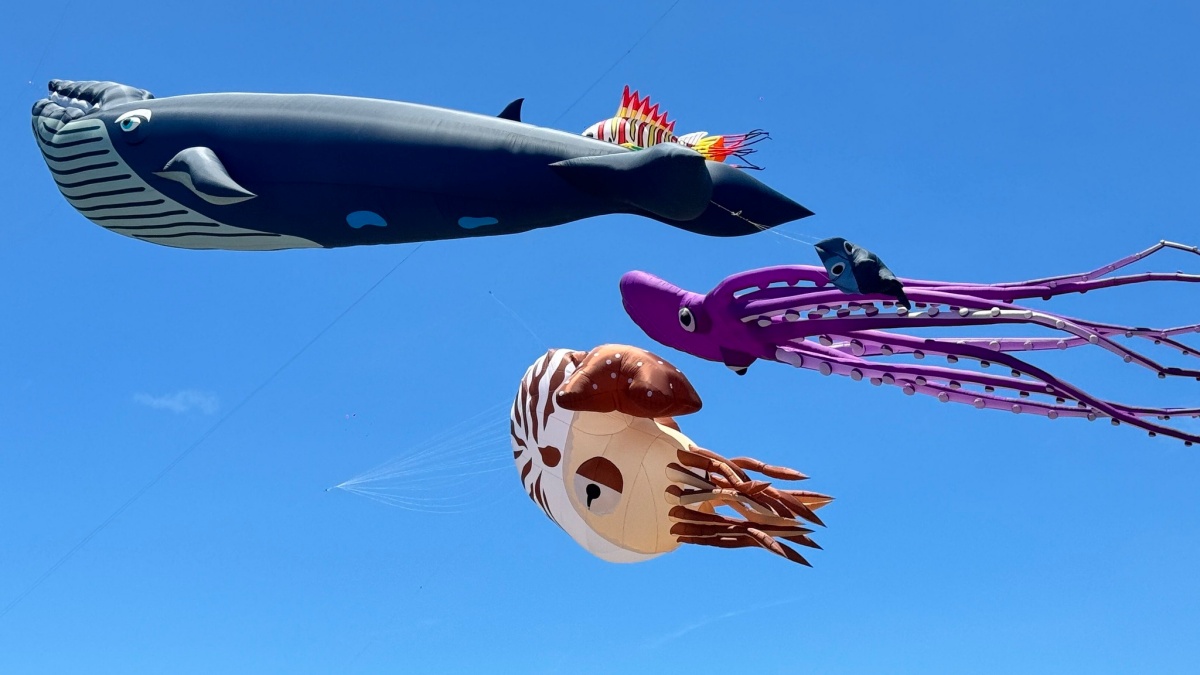 2025「北海岸國際風箏節」即將起飛!風箏DIY、接駁車通通免費,加碼逛市集 2025「北海岸國際風箏節」即將起飛!風箏DIY、接駁車通通免費,加碼逛市集