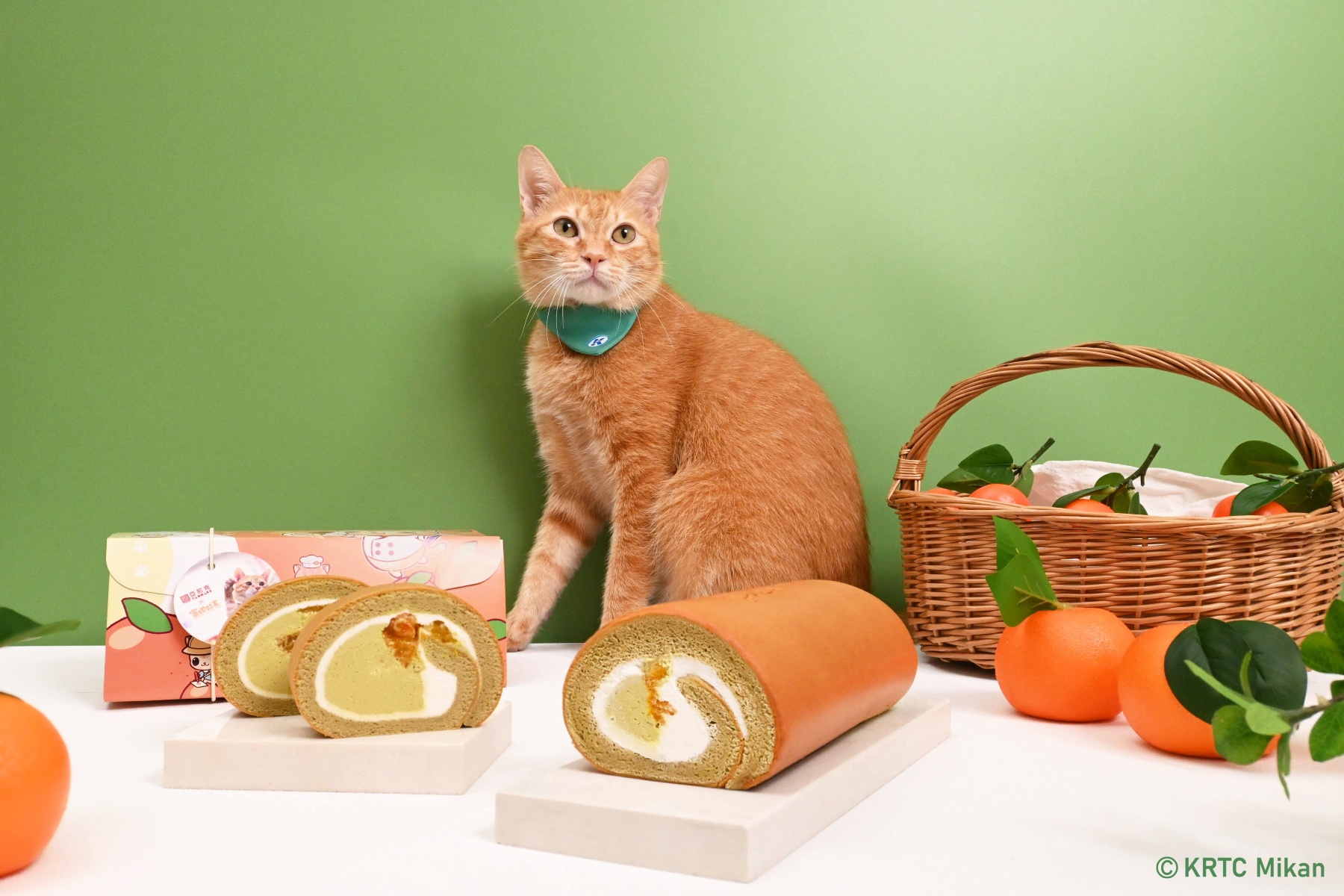 「100元生乳捲」回來了!亞尼克YTM插旗高捷,貓控必吃超Q「蜜柑生乳捲」 「100元生乳捲」回來了!亞尼克YTM插旗高捷,貓控必吃超Q「蜜柑生乳捲」