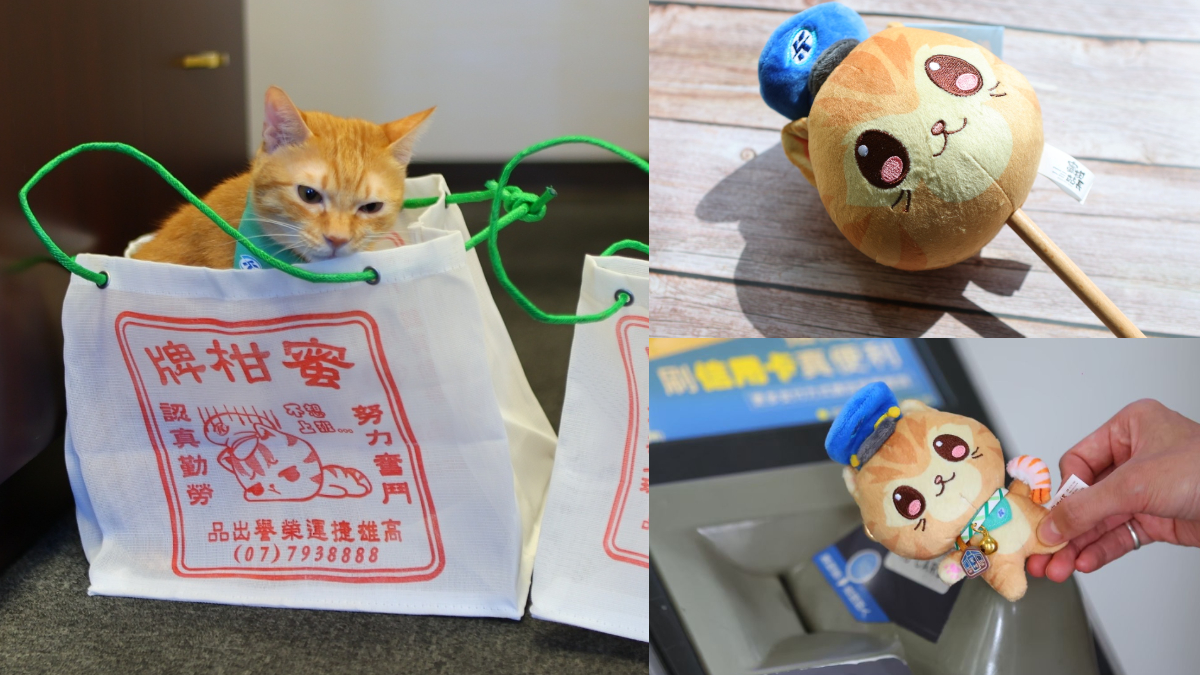 「100元生乳捲」回來了!亞尼克YTM插旗高捷,貓控必吃超Q「蜜柑生乳捲」 「100元生乳捲」回來了!亞尼克YTM插旗高捷,貓控必吃超Q「蜜柑生乳捲」