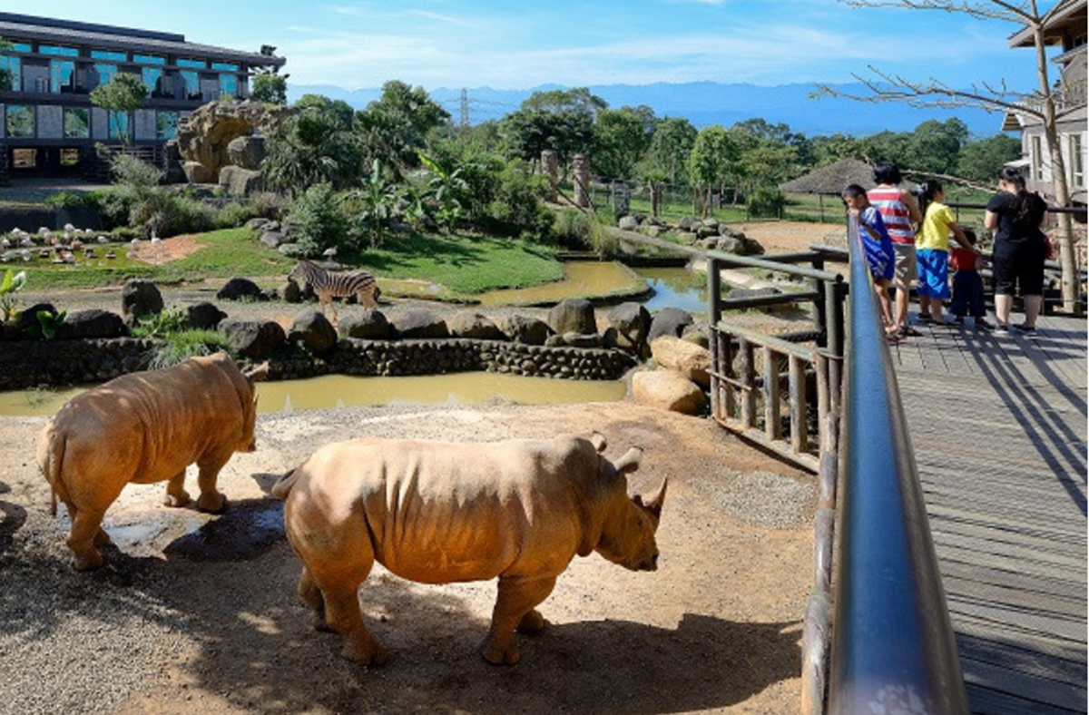 全台唯一「水豚主題房」!窗邊看水豚泡湯、免費餵食打卡,每人1500元住動物園飯店 2025綠色飯店民宿6選!最大動物園飯店、有機香草花園,投票抽環島住1年