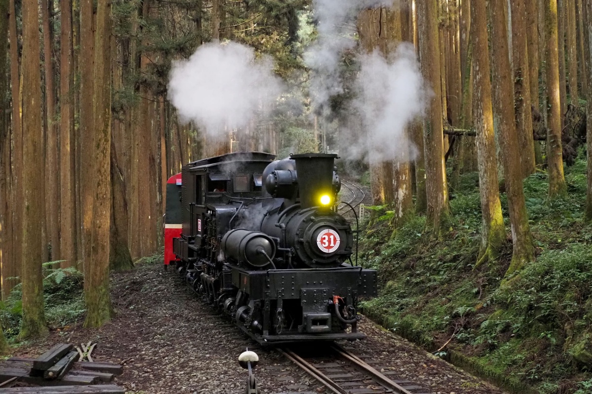 日本、韓國賞楓團開搶!滿山紅葉、銀杏美景雙收,阿里山鐵道賞楓2日輕鬆玩 日本、韓國賞楓團開搶!滿山紅葉、銀杏美景雙收,阿里山鐵道賞楓2日輕鬆玩