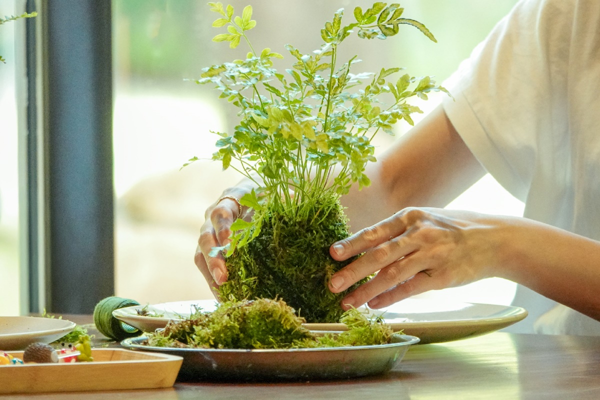 年底前門票50元!春水堂全新園區「春秋山林」,招牌珍奶+百道料理、爽泡足湯 年底前門票50元!春水堂全新園區「春秋山林」,招牌珍奶+百道料理、爽泡足湯