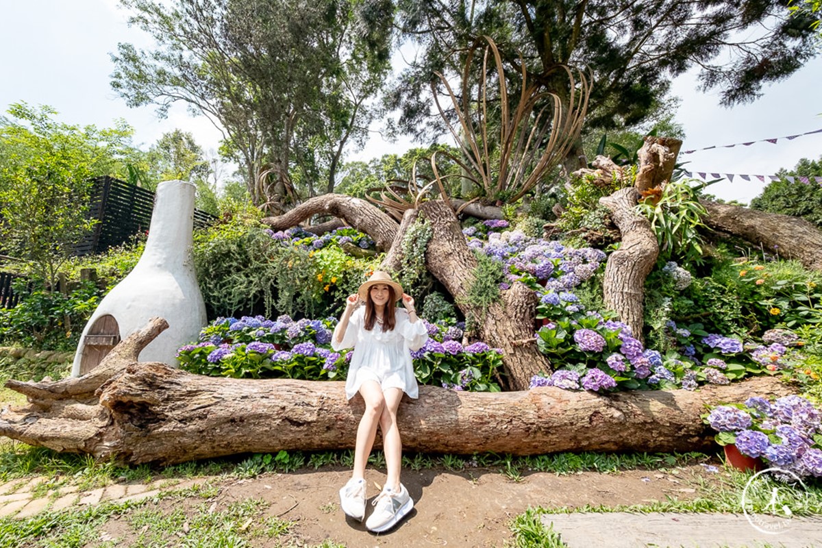 連假免費開放參觀!新竹「薰衣草森林」9月底歇業,美拍祕密花園、小熊步道 連假免費開放參觀!新竹「薰衣草森林」9月底歇業,美拍祕密花園、小熊步道