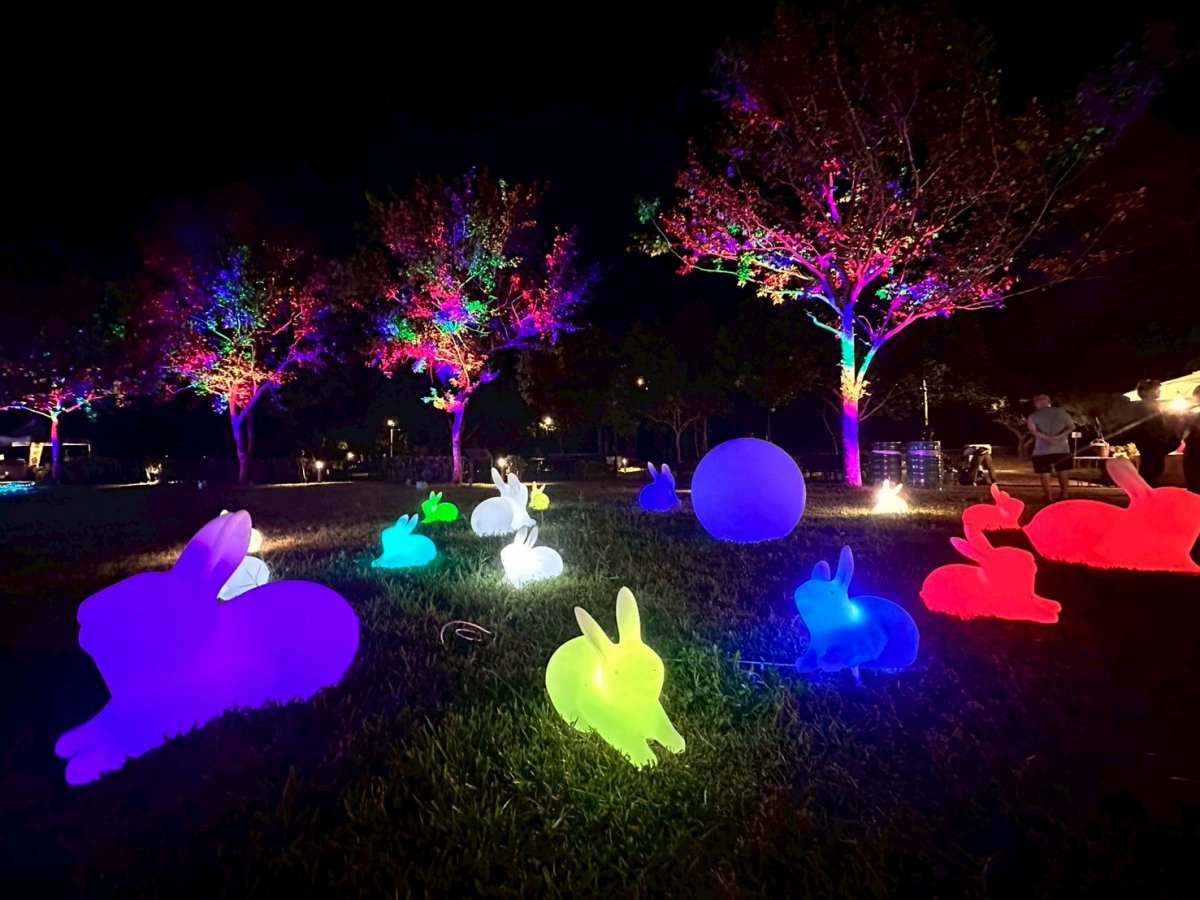 2025慈湖水舞秀中秋登場！日夜雙版本華麗展出，還有復古市集、免費接駁車