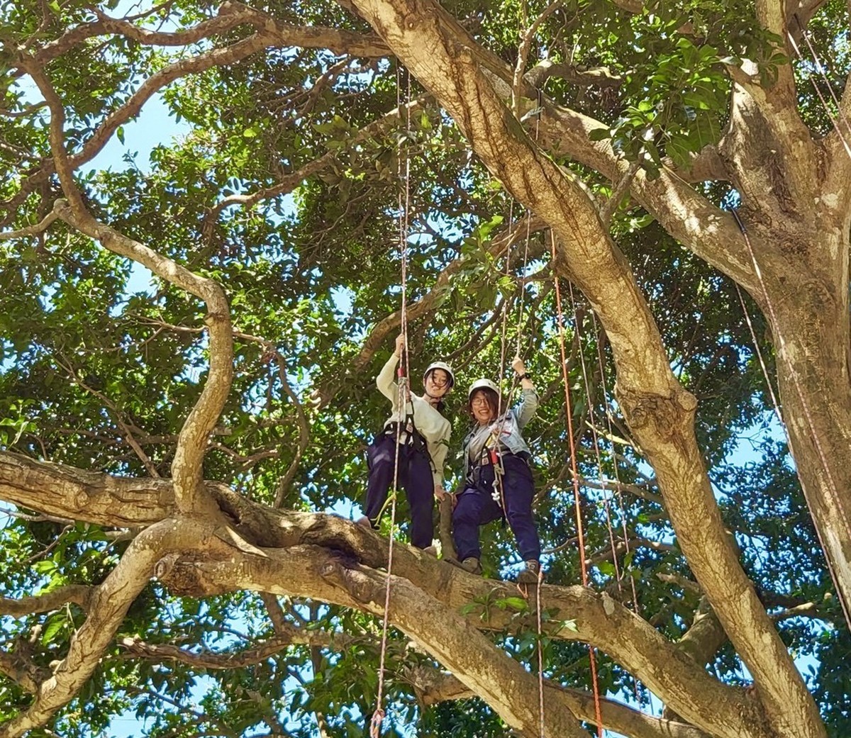 雙十連假快閃3天!台南「百米滑水道」免費玩,還有氣墊城堡、美食市集 雙十連假快閃3天!台南「百米滑水道」免費玩,還有氣墊城堡、美食市集