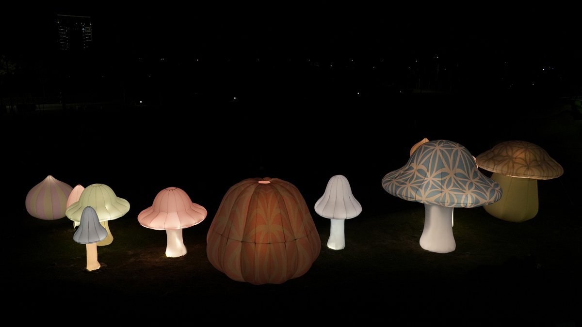 連續12小時嗨翻台北!2025白晝之夜「這天」圓山登場,亮點裝置藝術搶先看 連續12小時嗨翻台北!2025白晝之夜「這天」圓山登場,亮點裝置藝術搶先看